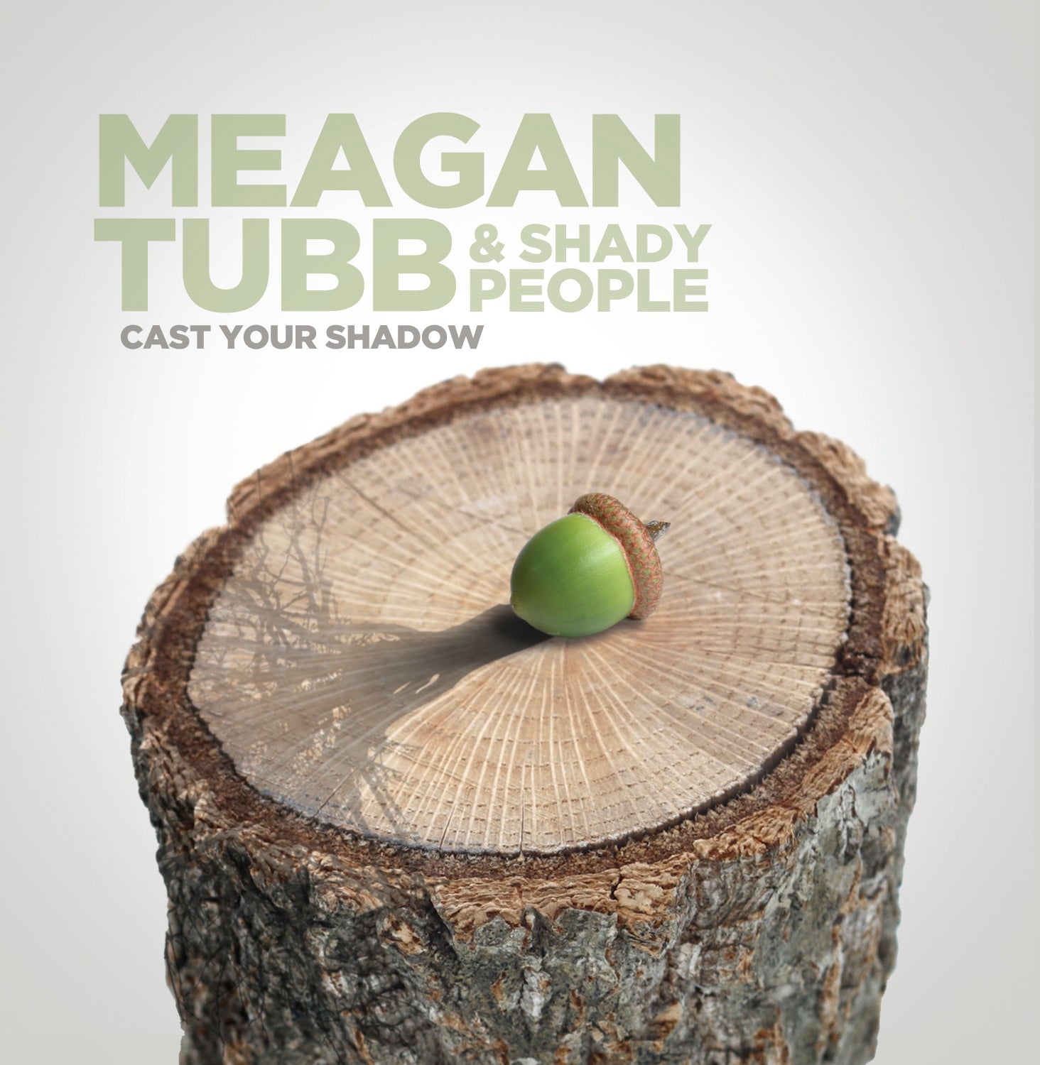 Meagan Tubb & Shady People CD "Cast Your Shadow"